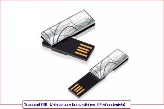 Elegante Pendrive USB da ben 8000MB - alta qualità